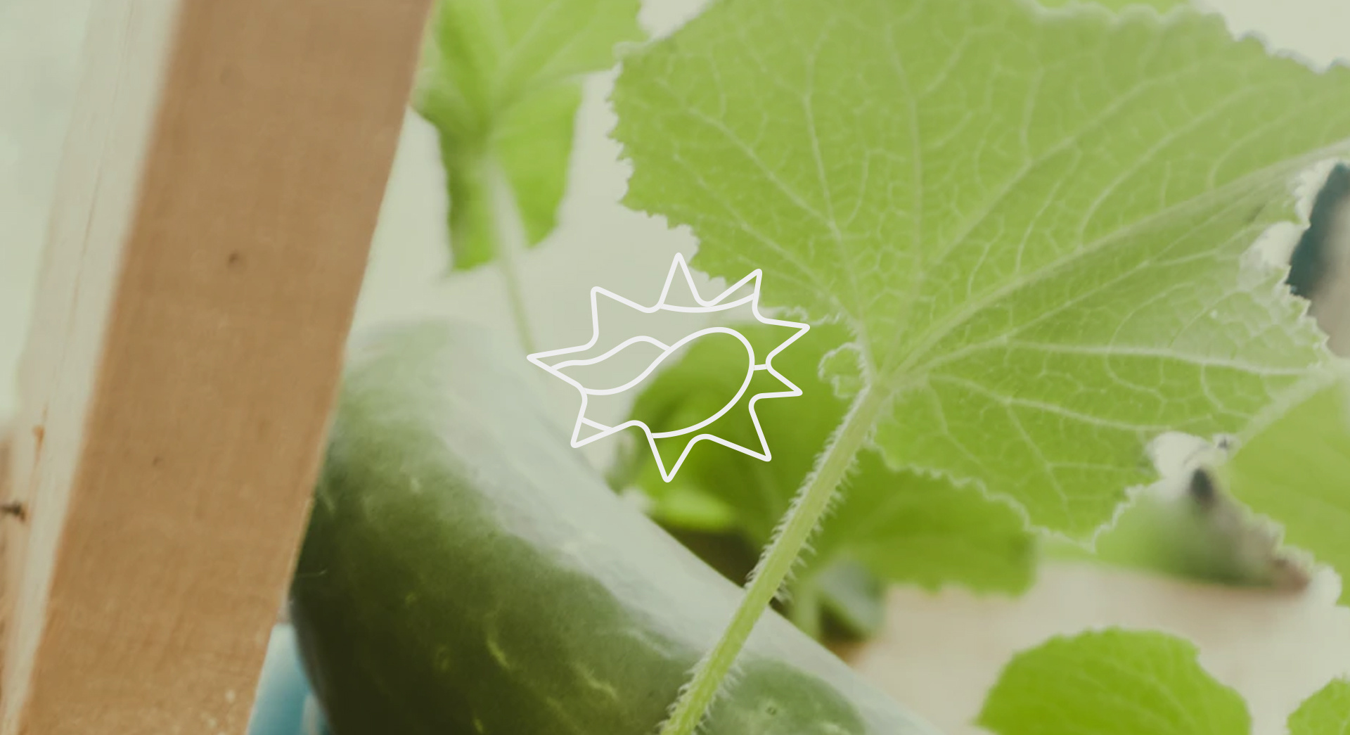 “秋冻”“贴秋膘”有讲究!专家回应秋季养生热门话题