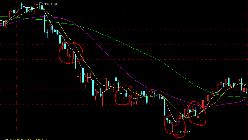 广西工业互联网“百场路演”林业发展专题活动在我市举行